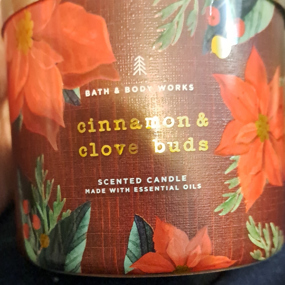 Bath & Body Works Cinnamon & Clove Buds Candle - Red and Green